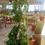 Otel Tas Konak 4*